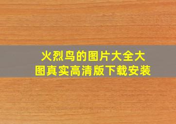 火烈鸟的图片大全大图真实高清版下载安装