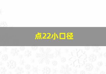 点22小口径