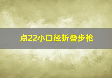 点22小口径折叠步枪