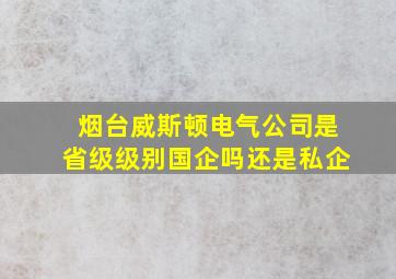 烟台威斯顿电气公司是省级级别国企吗还是私企