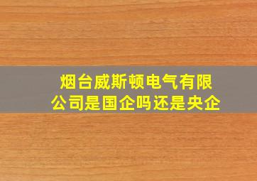 烟台威斯顿电气有限公司是国企吗还是央企