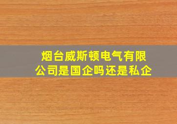 烟台威斯顿电气有限公司是国企吗还是私企