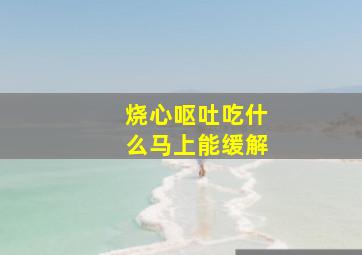 烧心呕吐吃什么马上能缓解