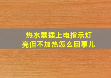 热水器插上电指示灯亮但不加热怎么回事儿