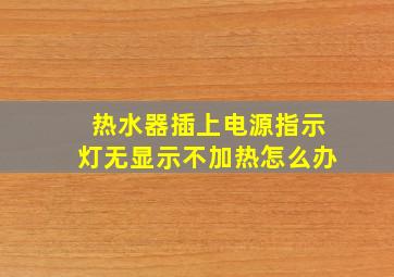 热水器插上电源指示灯无显示不加热怎么办