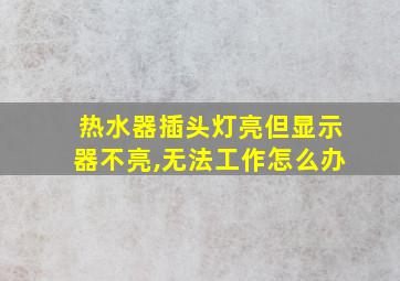 热水器插头灯亮但显示器不亮,无法工作怎么办