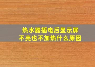 热水器插电后显示屏不亮也不加热什么原因