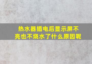 热水器插电后显示屏不亮也不烧水了什么原因呢