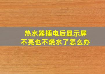 热水器插电后显示屏不亮也不烧水了怎么办