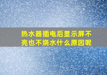 热水器插电后显示屏不亮也不烧水什么原因呢