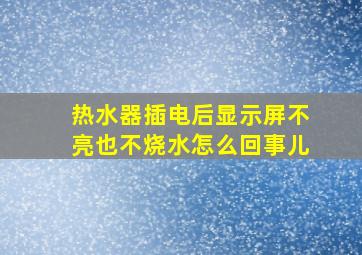 热水器插电后显示屏不亮也不烧水怎么回事儿