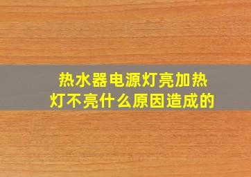 热水器电源灯亮加热灯不亮什么原因造成的