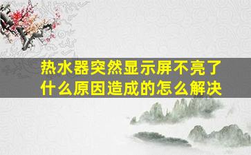 热水器突然显示屏不亮了什么原因造成的怎么解决