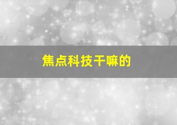 焦点科技干嘛的