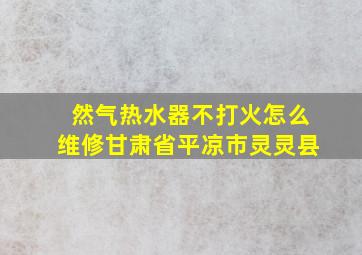 然气热水器不打火怎么维修甘肃省平凉市灵灵县