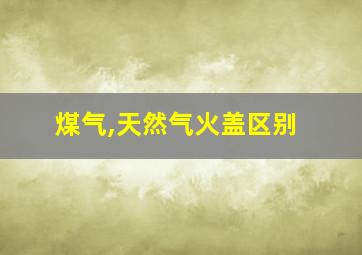 煤气,天然气火盖区别