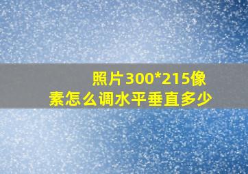 照片300*215像素怎么调水平垂直多少