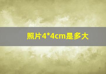 照片4*4cm是多大