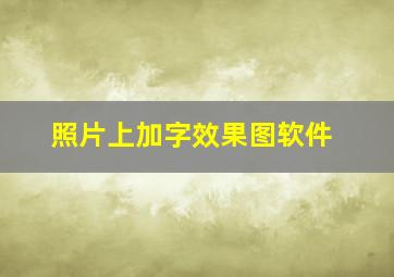 照片上加字效果图软件