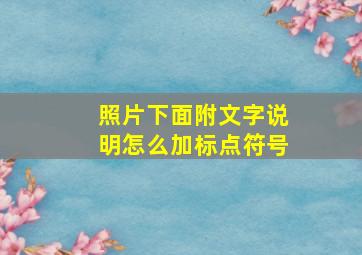 照片下面附文字说明怎么加标点符号