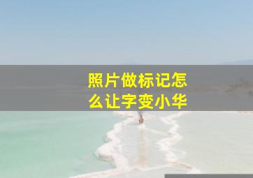 照片做标记怎么让字变小华