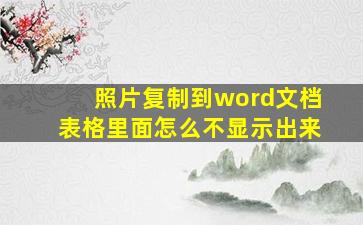 照片复制到word文档表格里面怎么不显示出来