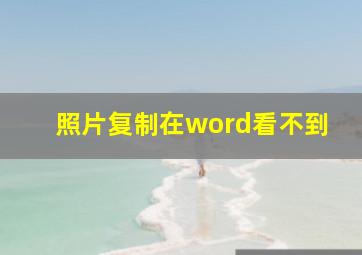 照片复制在word看不到