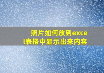 照片如何放到excel表格中显示出来内容