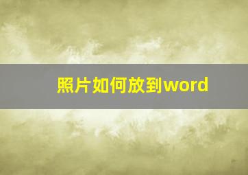 照片如何放到word