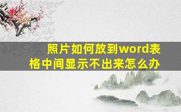 照片如何放到word表格中间显示不出来怎么办