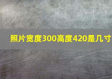 照片宽度300高度420是几寸