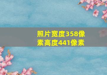 照片宽度358像素高度441像素