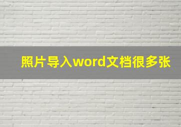 照片导入word文档很多张