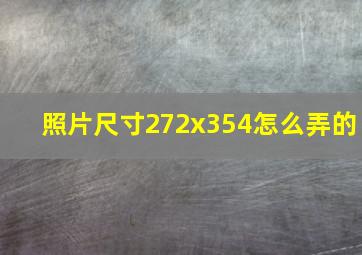 照片尺寸272x354怎么弄的