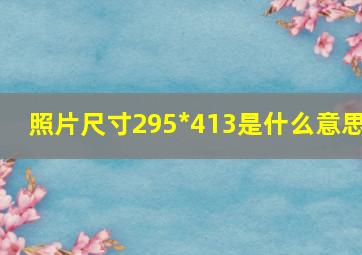 照片尺寸295*413是什么意思