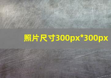 照片尺寸300px*300px