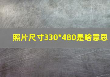 照片尺寸330*480是啥意思