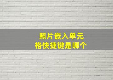 照片嵌入单元格快捷键是哪个