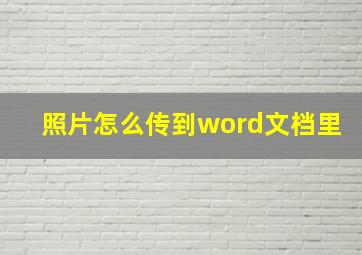 照片怎么传到word文档里