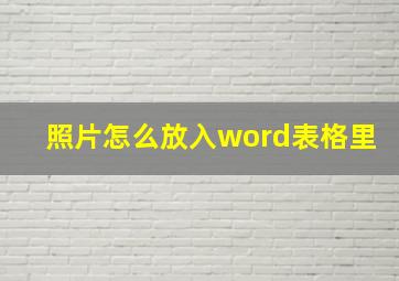 照片怎么放入word表格里