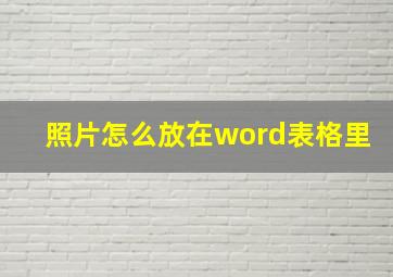 照片怎么放在word表格里