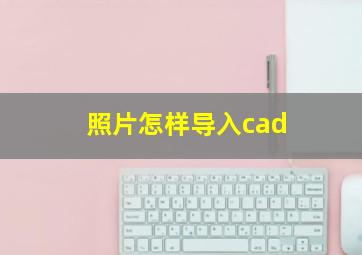 照片怎样导入cad