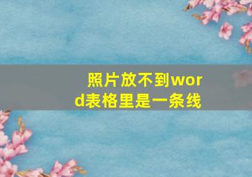 照片放不到word表格里是一条线