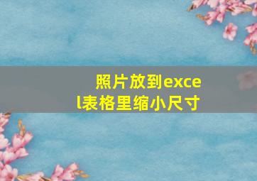 照片放到excel表格里缩小尺寸