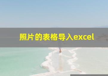 照片的表格导入excel