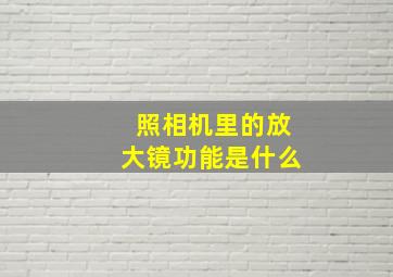 照相机里的放大镜功能是什么