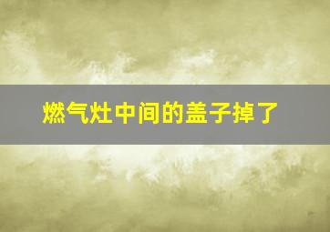 燃气灶中间的盖子掉了