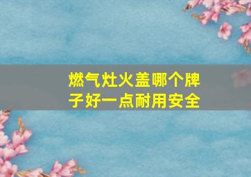 燃气灶火盖哪个牌子好一点耐用安全