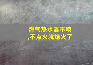 燃气热水器不响,不点火就熄火了