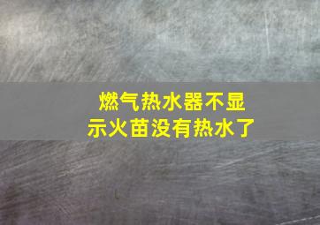 燃气热水器不显示火苗没有热水了